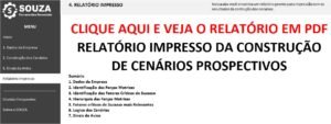 planilha-construcao-de-cenarios-relatorio-pdf
